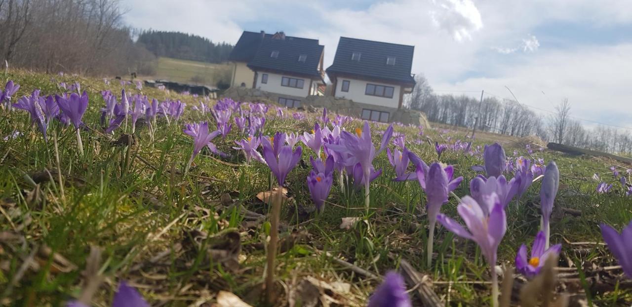Nowinowe Domki Dzianisz Exterior foto